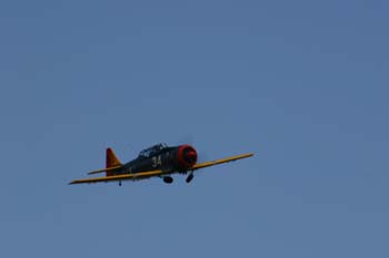 IMG_4953