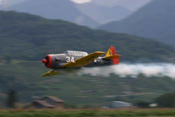 IMG_4956