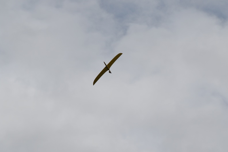 142A2546.JPG