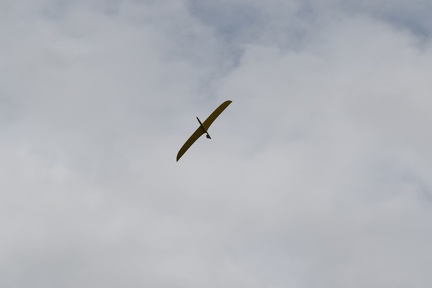 Une aile volante OLD timer