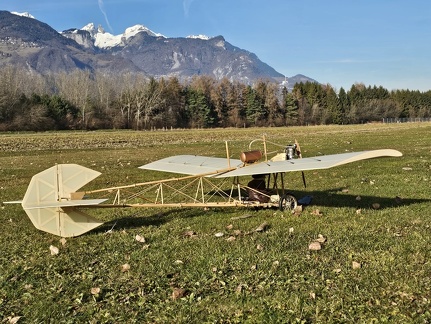 La demoiselle