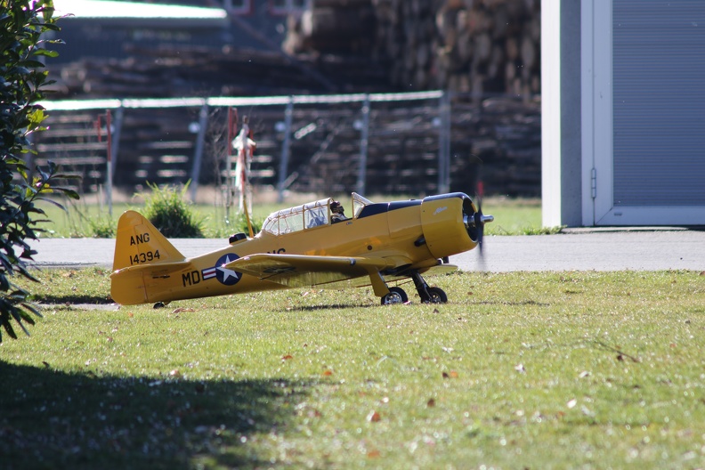 142A5996.JPG