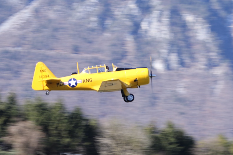 142A6013.JPG