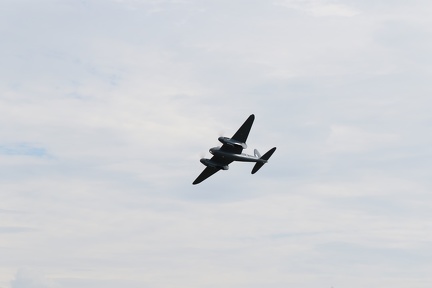 Mosquito