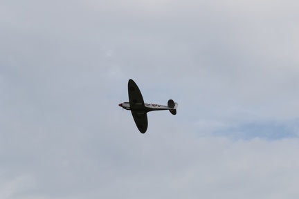 Spitfire