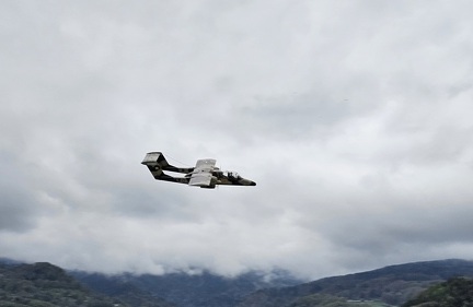 bronco