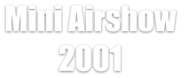 Mini Airshow  2001